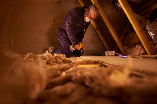 Best Geographic-Specific Insulation Services in Mercerville, NJ